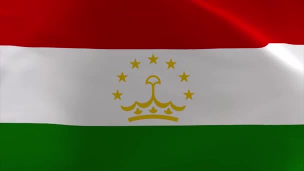 Tádzsikisztán Integetés Zászló Animáció Mozgó Tapéta Háttér — Stock videók