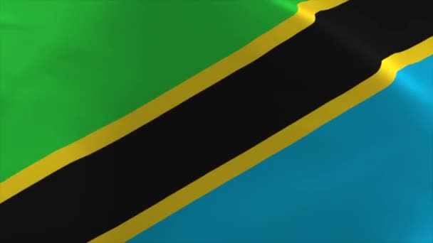 Танзанійці Розмахують Прапором Animation Moving Wallpaper Background — стокове відео