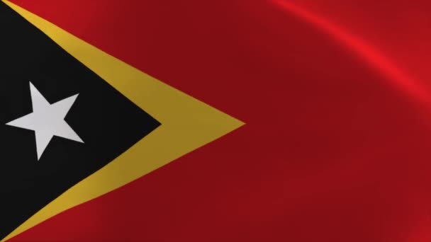 Timor Leste Waving Flag Animation Moving Wallpaper Background — стокове відео