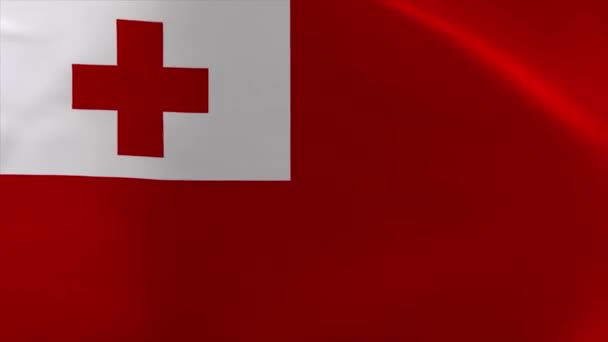 Tonga Zwaaien Vlag Animatie Bewegend Behang Achtergrond — Stockvideo