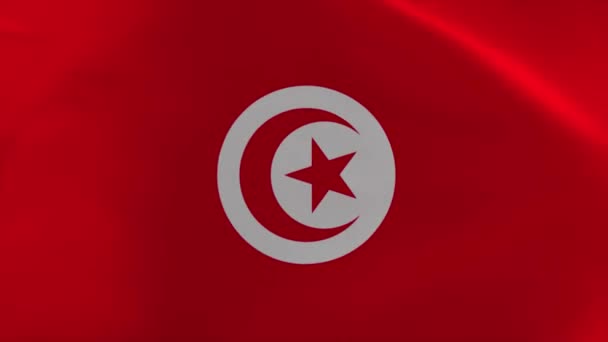 Tunisia Waving Flag Animation Moving Wallpaper Background — стокове відео