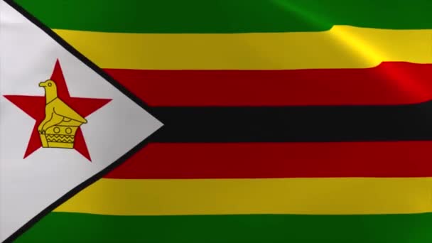 Zimbabwe Heiluttaa Lippu Animaatio Liikkuva Taustakuva Tausta — kuvapankkivideo
