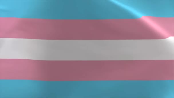 Transgender Golvende Vlag Animatie Bewegende Achtergrond — Stockvideo