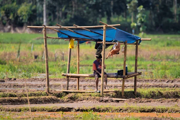 Cilacap Indonesia June 2022 Male Farmer Resting Hut Hot Sun — Stock Photo, Image