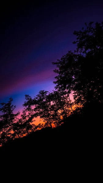 Cielo Colorato Paesaggio Tramonto Alberi Nella Notte Foto Natura Fantastica — Stockfoto
