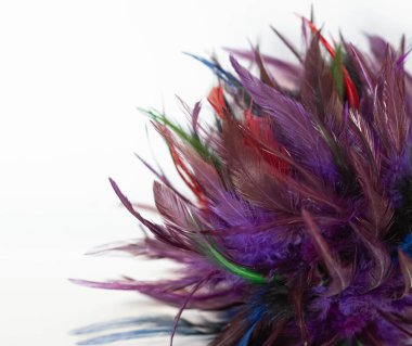 Kartpostal - beyaz arkaplanda narin tüyler.