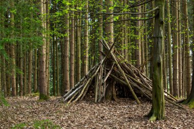 View of a hut made of pine trunks in an Austrian forest
