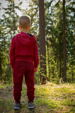 little boy on a forest road, hiking in the mountains