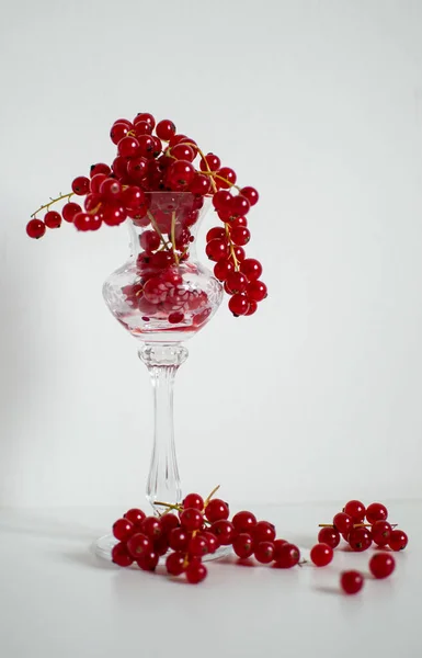 Harvest Red Currants Crystal Bowl White Background — Stock fotografie