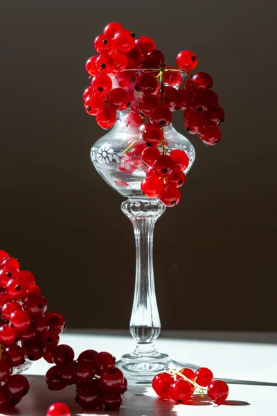 Bunches Red Currants Glass Goblet Black Background — Stock fotografie