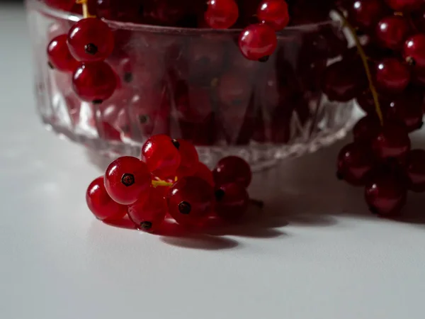 macro photography of red currants on a white table