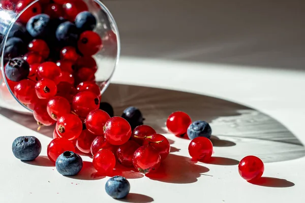 Macro Photography Red Currants Blueberries White Table — Stock fotografie