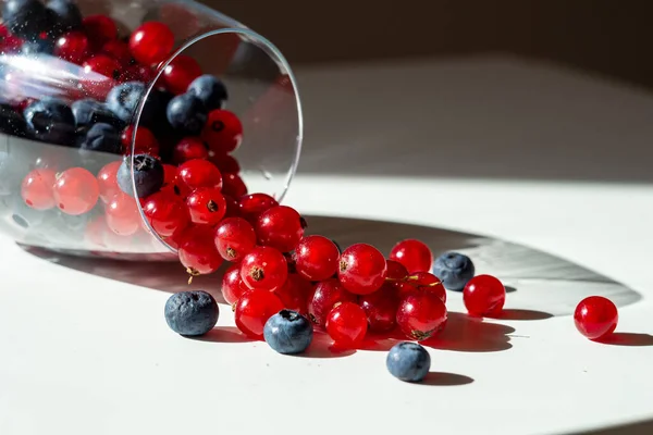 Blueberries Red Currants Wine Glass — Stock fotografie