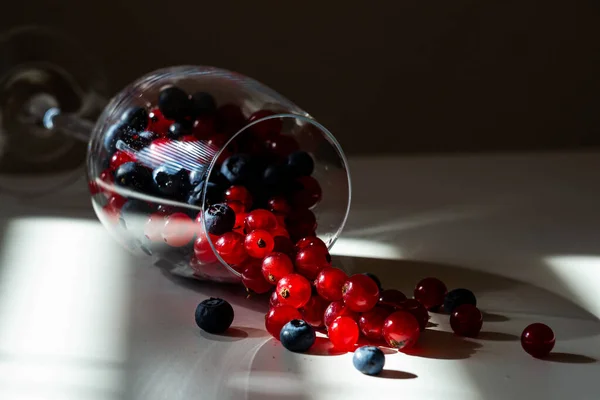 Wine Glass Filled Blueberries Red Currants — Stock fotografie