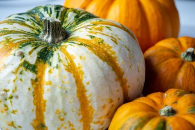 Beyaz bir masada turuncu ve beyaz balkabakları