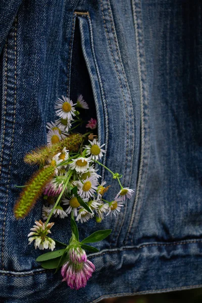 Kot Ceketin Cebinde Bir Buket Kır Çiçeği — Stok fotoğraf