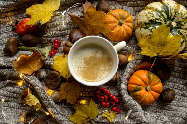 A cup of hot coffee on a knitted plaid among pumpkins, chestnuts and maple leaves