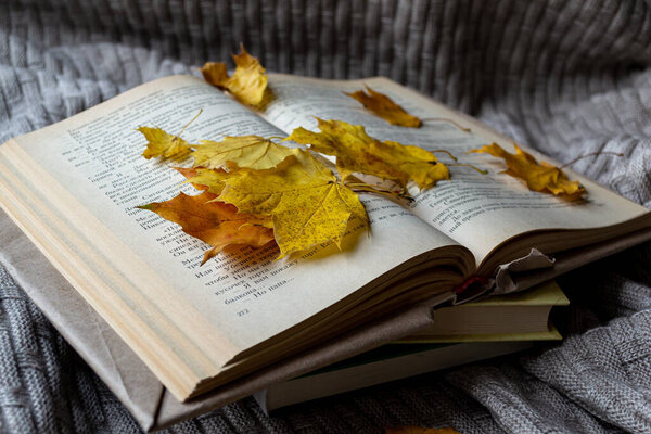 Stack of books and yellow maple leaves on a knitted plaid
