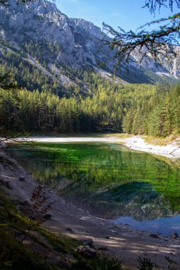 Tepeden Yeşil Göl 'e sonbahar Alp Dağları' nın arka planına bakın.