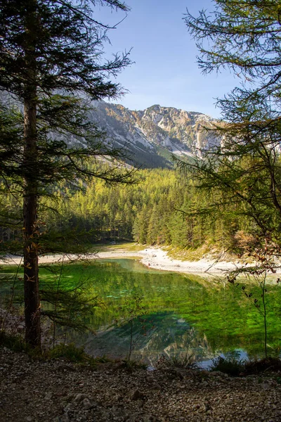 Pemandangan Danau Hijau Dan Pegunungan Alpine Melalui Pohon Cemara — Stok Foto