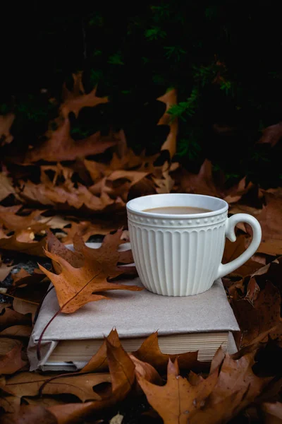 White Cup Hot Coffee Milk Book Park Fallen Oak Leaves — Stock Photo, Image