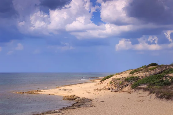 Mooiste Stranden Van Italië Campomarino Duinpark Apulië Italië Het Beschermde — Stockfoto