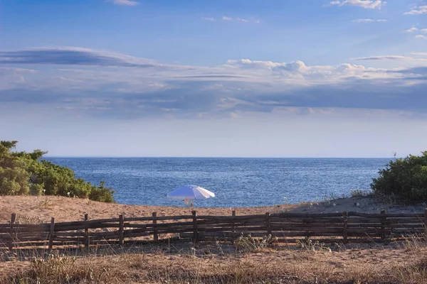 Eenzame Paraplu Achter Duinen Torre Colimena Beach Puglia Italië Strekt — Stockfoto