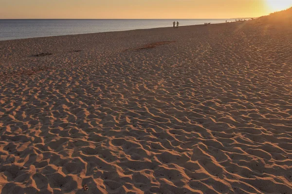 Typischer Sandstrand Mit Dünen Apulien Italien Der Strand Von San — Stockfoto