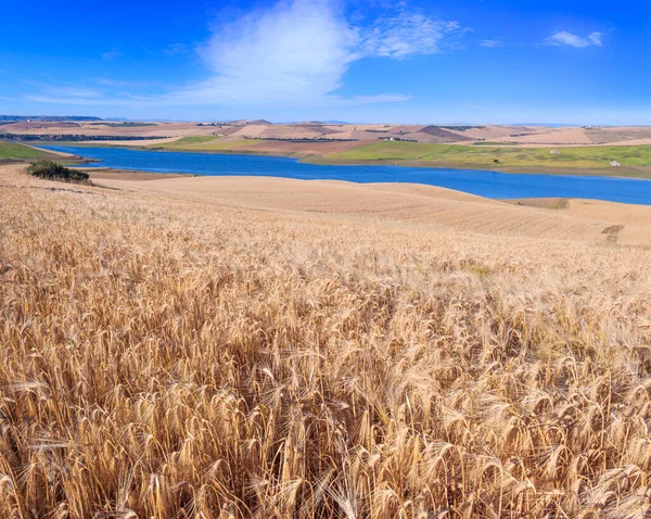 Między Apulią Basilicata Jezioro Basentello Lub Serra Del Corvo Otoczone — Zdjęcie stockowe