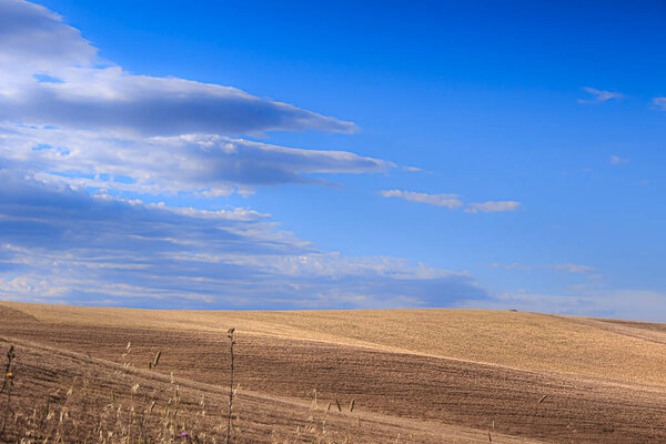 Clouds over the wheat field: organic shapes and forms have a natural look and a flowing and curving appearance. 