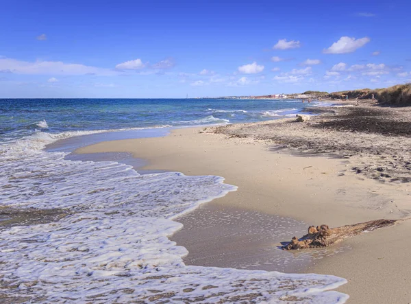 Verano Las Playas Arena Más Bellas Apulia Reserva Natural Cesine — Foto de Stock