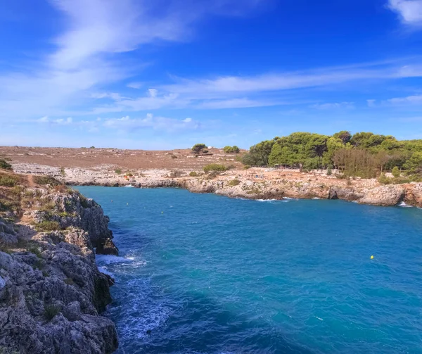 Kayalıkların Sarı Süpürgelerin Arasında Yuva Yapmış Porto Badisco Nun Güzel — Stok fotoğraf