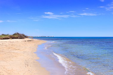 Puglia, İtalya 'da kum tepeleri olan tipik kumlu plaj: Bölgesel Doğal Park Dune Costiere. Uzaktan Torre Canne 'i görebilirsin..