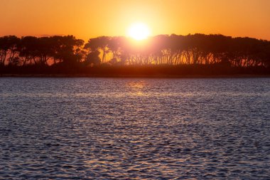 Salento sahili: İtalya 'nın Apulia kentindeki Porto Cesareo limanının gün batımında görülmektedir. Arka planda Tavşanlar Adası: burada tamarisks ormanı ve sualtı dünyası hayran mümkün.