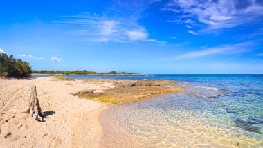 İtalya 'nın Apulia kentindeki Torre Guaceto Doğa Koruma Alanı' nda sahil manzarası ve kum tepeleri vardı. Akdeniz maskesi: kara ve deniz arasında bir doğa sığınağı.