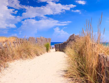 Bölgesel Doğal Park Dune Costiere (Torre Canne): İtalya 'nın Apulia kentindeki deniz tepeleri arasında çit. Park, Ostuni ve Fasano 'nun sekiz kilometre boyunca uzanan kıyı şeridini kapsamaktadır..
