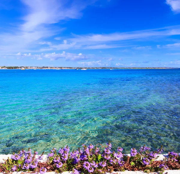 Apulië Zee Salento Kust Porto Cesareo Zeegezicht Italië Het Beschermde — Stockfoto