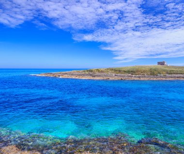 İtalya 'nın Apulia kentindeki Torre Guaceto Doğa Koruma Alanı: uçurumdan gözetleme kulesi olan sahilin manzarası. Akdeniz maskesi: kara ve deniz arasında bir doğa sığınağı.