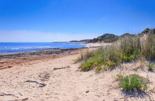 Riserva Naturale Torre Guaceto Puglia Veduta Della Spiaggia Delle Dune — Foto Stock