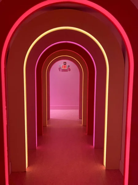 Neon lights in hallway