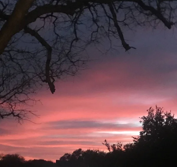 Cielo Rosado Anochecer — Foto de Stock