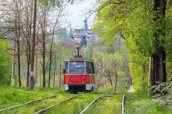 Eski kırmızı bir tramvay şehir parkında rayların üzerinde gidiyor. Yeşil yapraklı ağaçlar. Kentsel yolcu taşımacılığı.