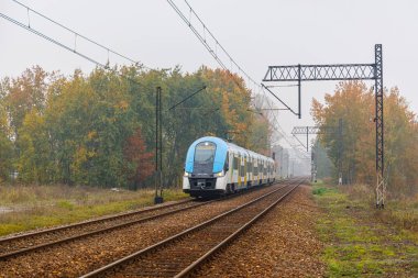 Katowice, Polonya - 2021 Sonbaharı: Yüksek hızlı şehirlerarası elektrikli tren tren tren tren istasyonuna gidiyor. Sarı yapraklı ağaçlar. Polonya Demiryolu