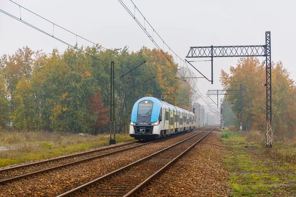 Katowice, Polonya - 2021 Sonbaharı: Yüksek hızlı şehirlerarası elektrikli tren tren tren tren istasyonuna gidiyor. Sarı yapraklı ağaçlar. Polonya Demiryolu