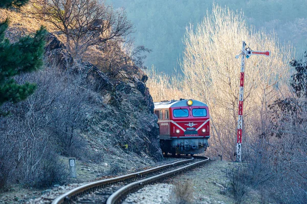 Bansko, Bulgaristan - Kış 2022: Yolcu trenli kırmızı dizel bir lokomotif bir kayanın arkasından çıkıyor. Dağ dar ölçü demiryolu