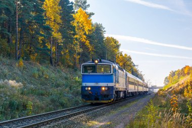 Diesel Yolcu Şehirlerarası Ekspres treni sonbahar ormanlarında hızla ilerler. Gün batımı aydınlatma.