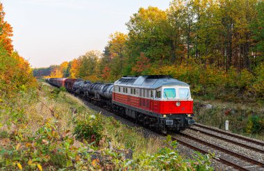 Güçlü bir kırmızı lokomotif sonbahar ormanı boyunca demiryolu istasyonuna yük taşıyan vagonları çeker. Akşamın sonbahar aydınlatması.