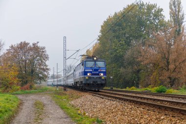 Katowice, Polonya - 2021 Sonbaharı: Yüksek hızlı şehirlerarası elektrikli tren tren tren tren istasyonuna gidiyor. Sarı yapraklı ağaçlar. Polonya Demiryolu