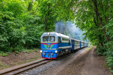 Kharkiv, Ukrayna - 2021 yazı: Dar ölçülü lokomotif TU2 yolcu treniyle şehir parkından geçen demiryolu hattına tırmanır. Çocuk demiryolu.