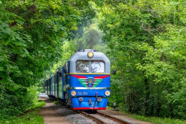 Kharkiv, Ukrayna - 2021 Yazı: Renkli dar kalibreli bir dizel lokomotif TU2, şehir parkı boyunca uzanan demiryolu rayları boyunca bir yolcu trenini çekiyor.